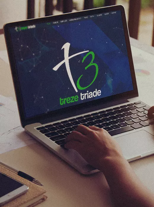 Criação da identidade visual, logotipo e o site da Treze Triade